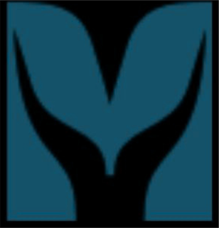 RiseMedia mark